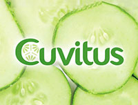 Cuvitus