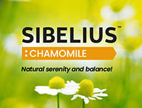 Sibelius Chamomile