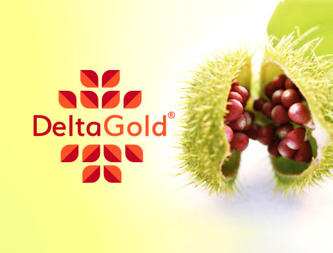 Delta Gold